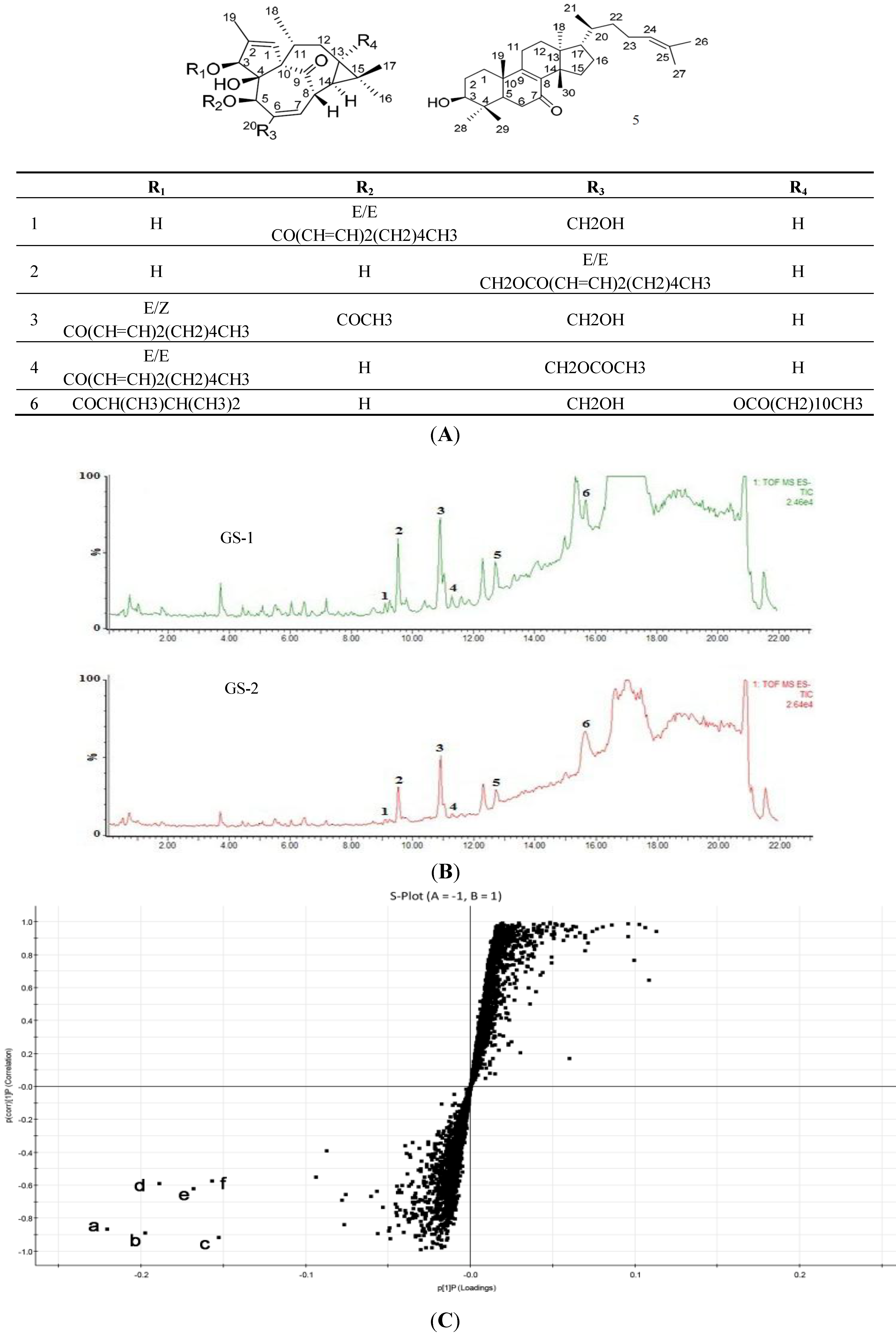 Molecules 19 07237 g001