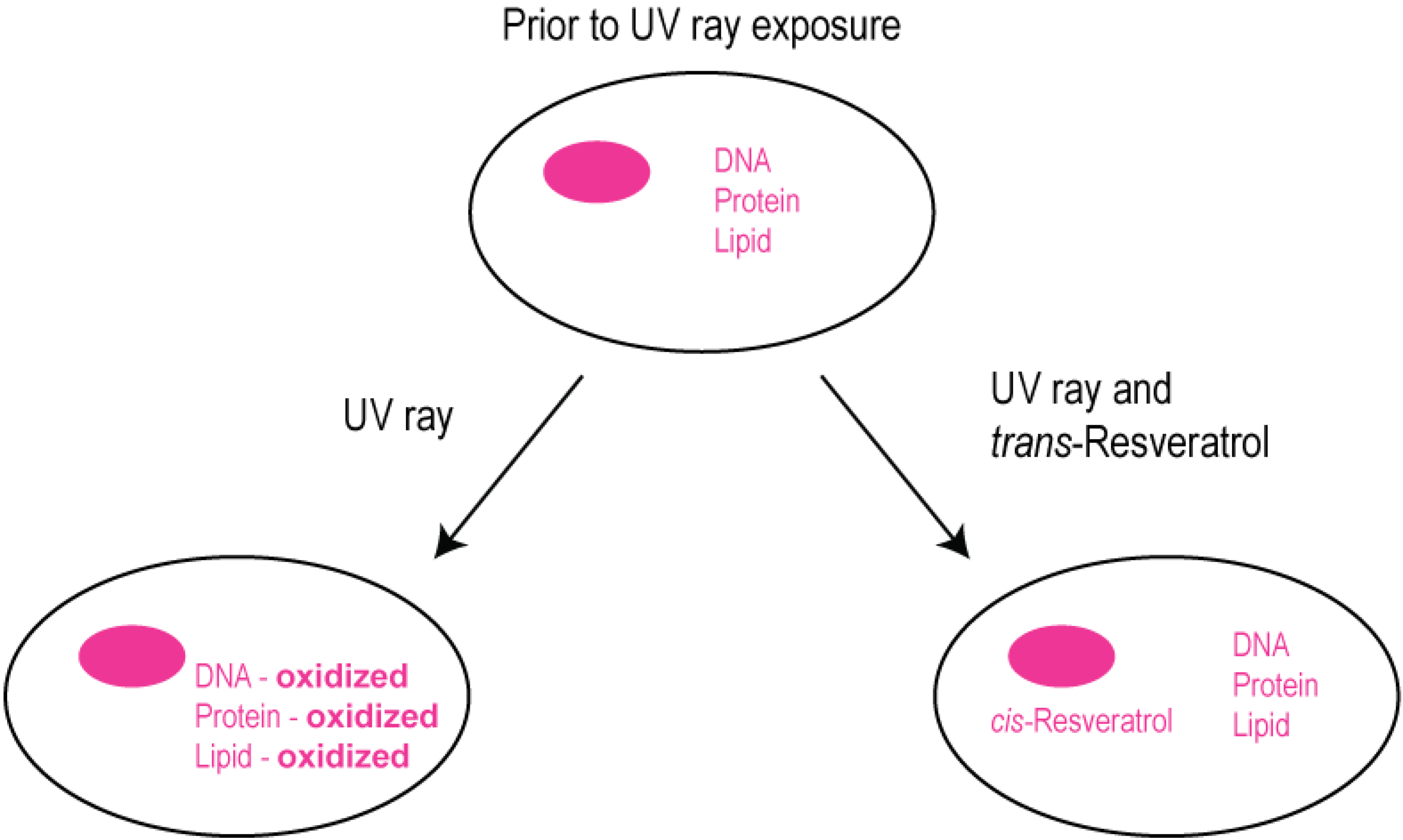 Molecules 19 07327 g003