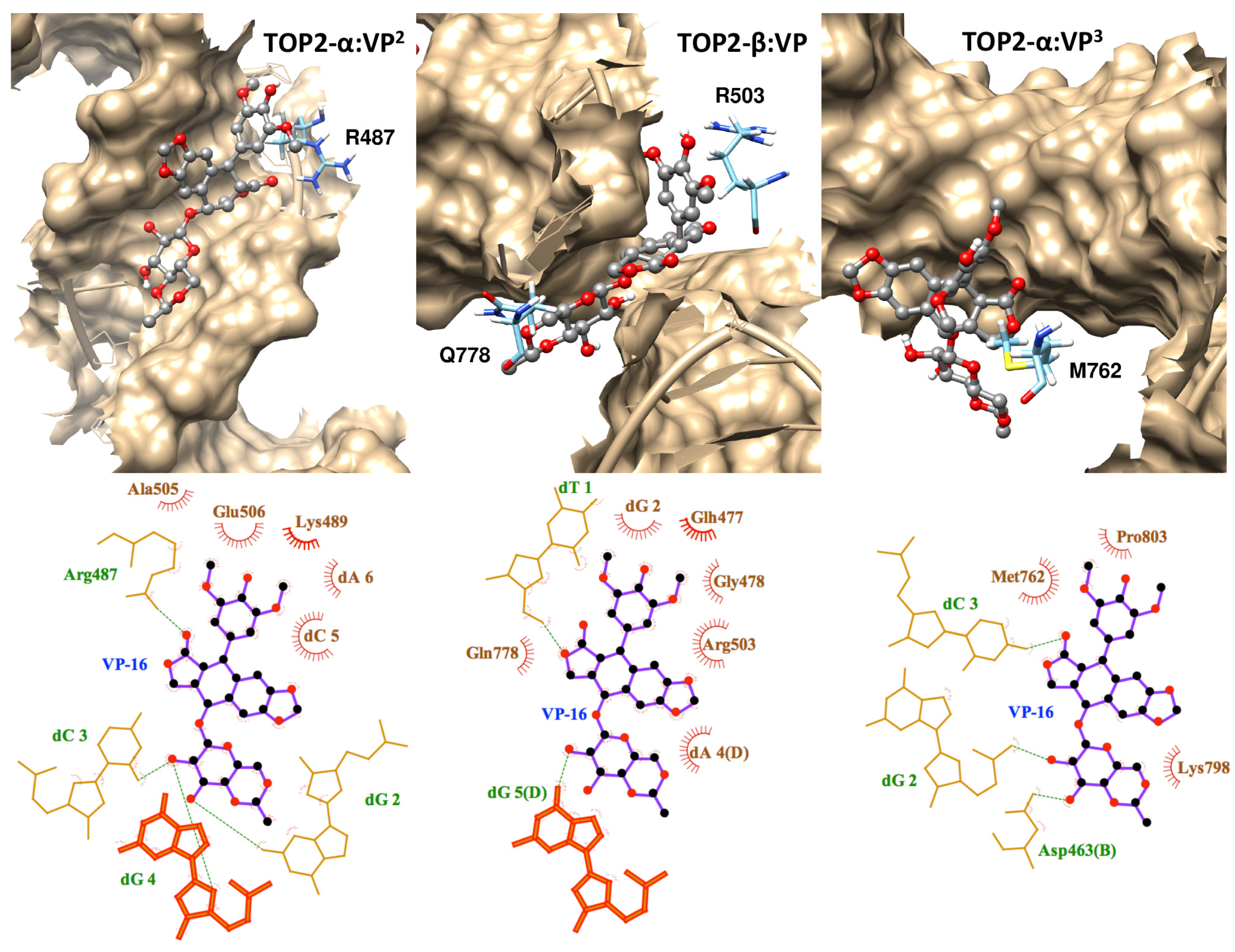 Molecules 19 07415 g005