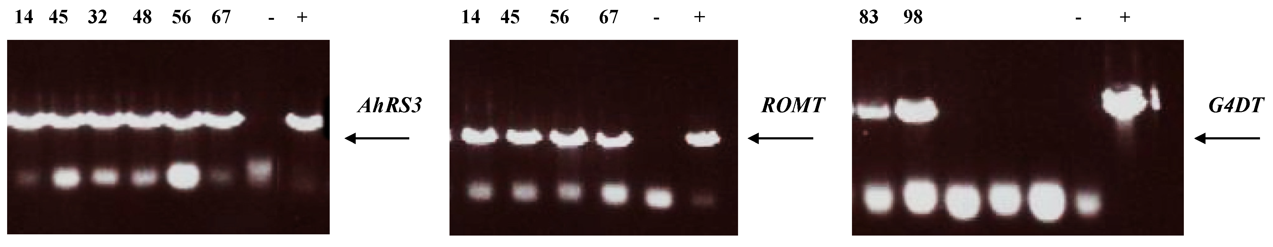 Molecules 19 07480 g005