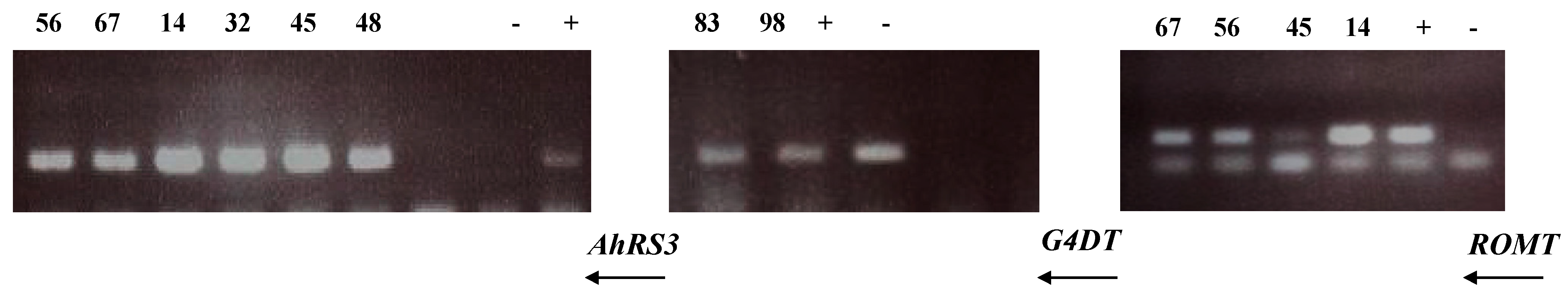 Molecules 19 07480 g006