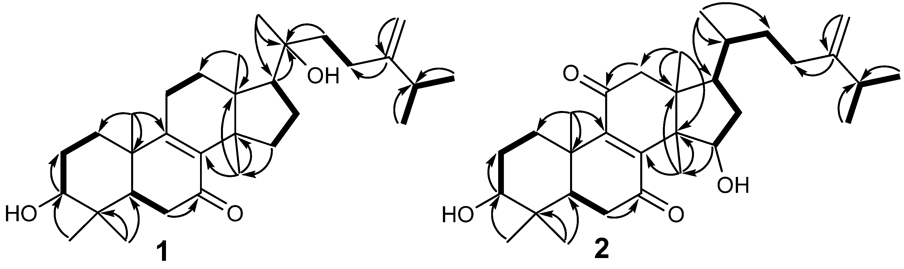 Molecules 19 07621 g002