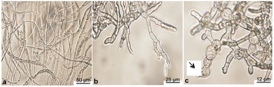 Molecules 19 07679 g003 550