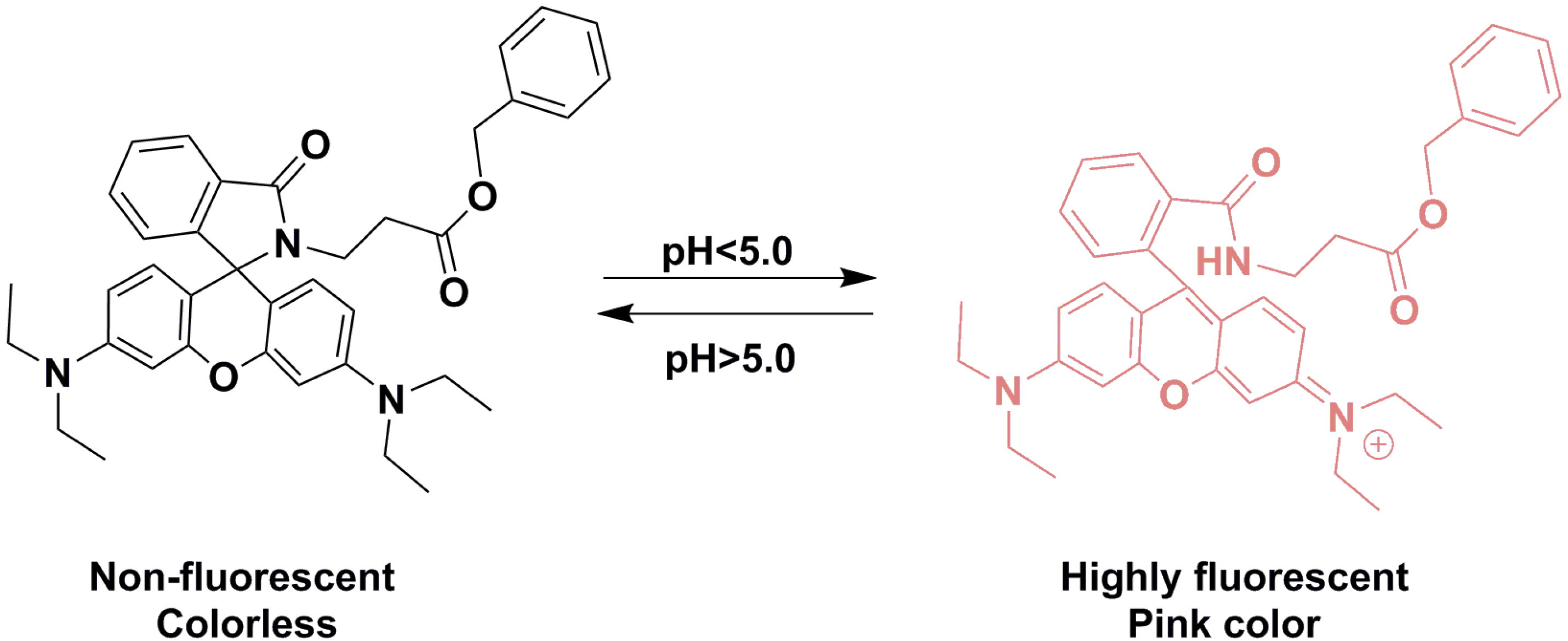 Molecules 19 07817 g014