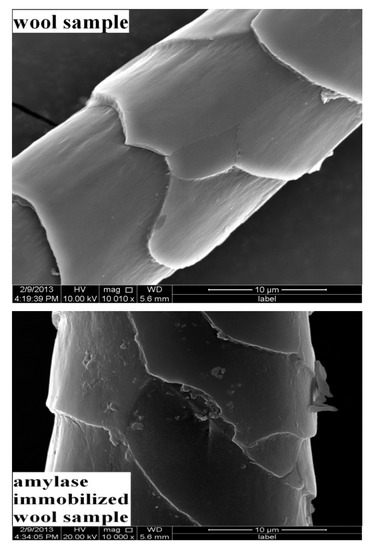 Molecules 19 08027 g002 550
