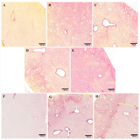 Molecules 19 08189 g003a 550