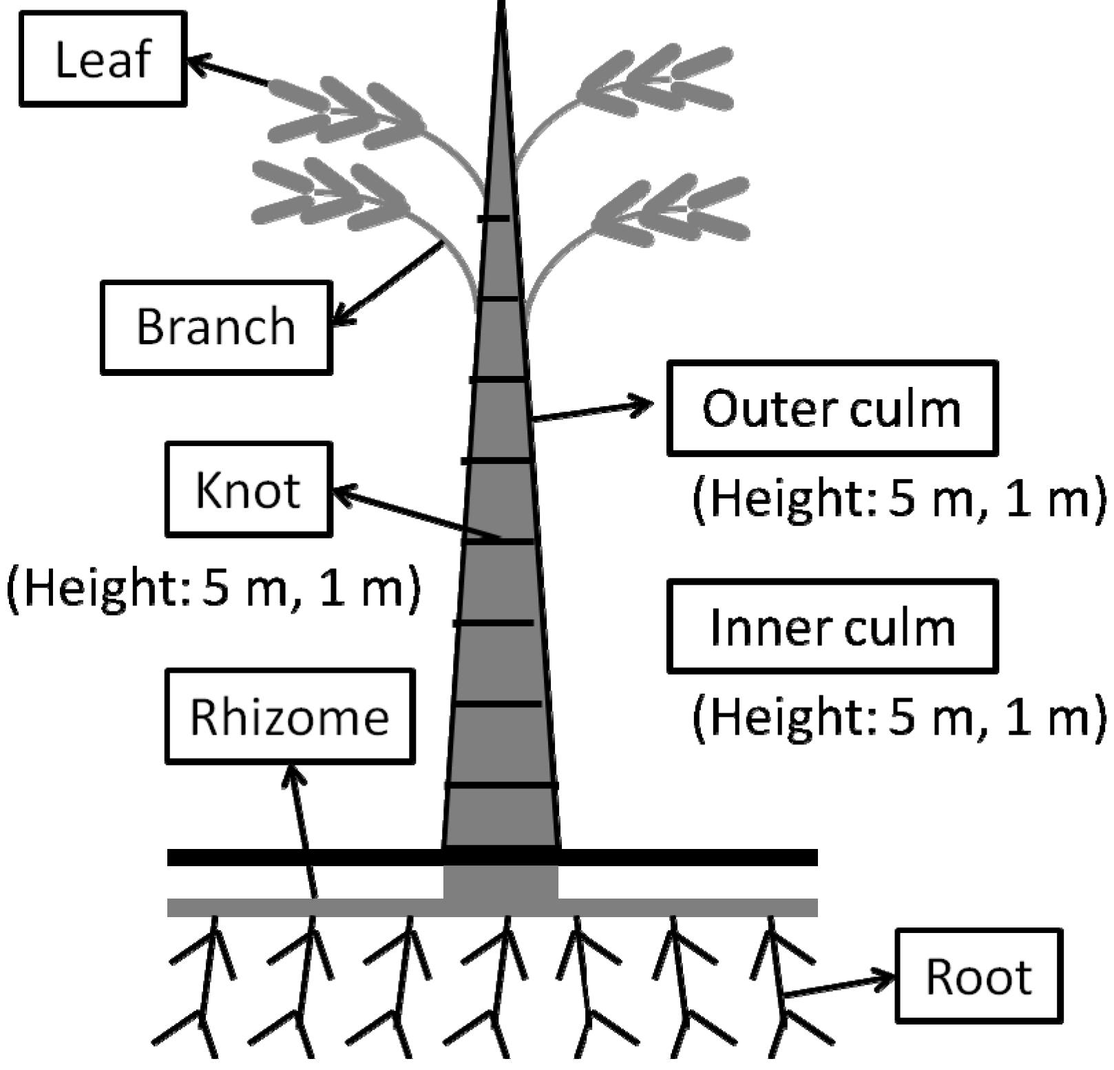 Molecules 19 08238 g001