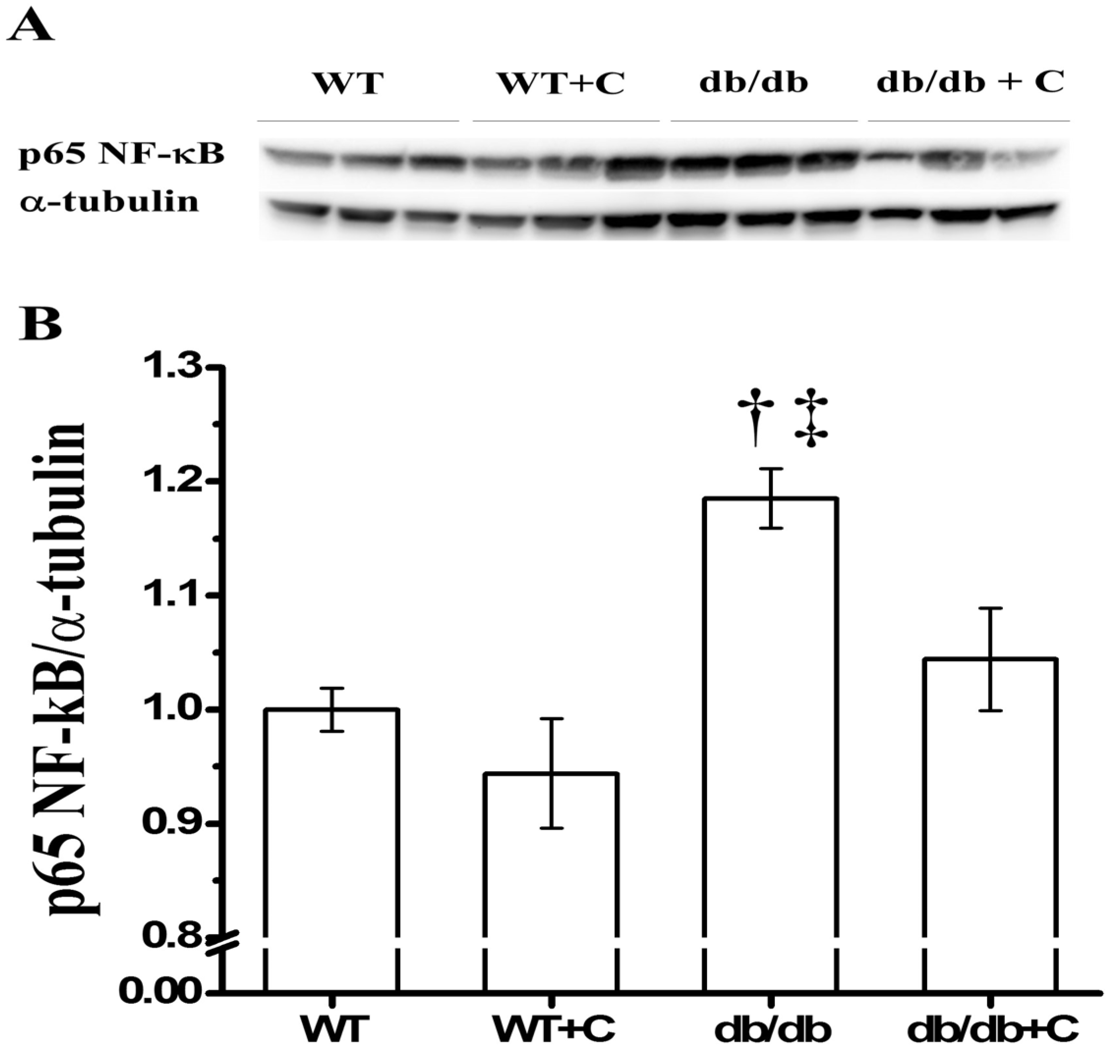 Molecules 19 08289 g002