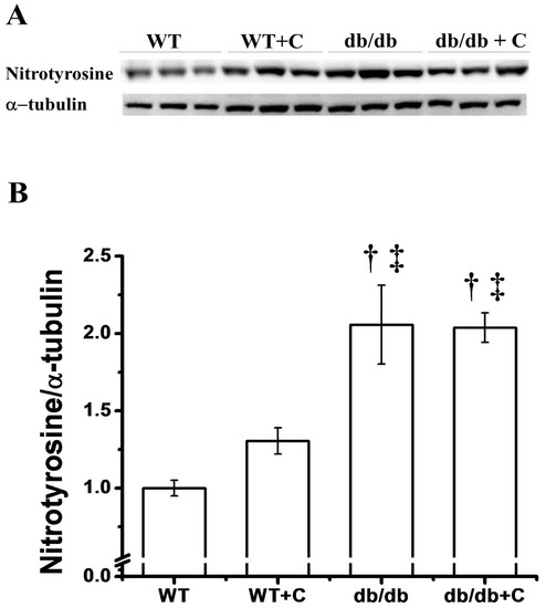 Molecules 19 08289 g005 550