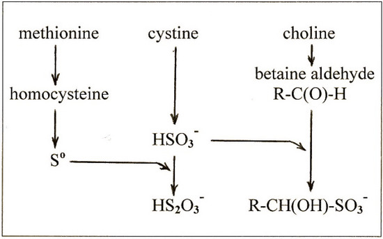 Molecules 19 08334 g002 550