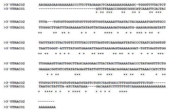 Molecules 19 08350 g001 550