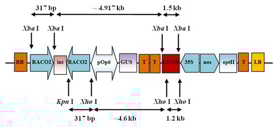 Molecules 19 08350 g004 550