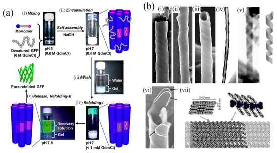 Molecules 19 08589 g004 550