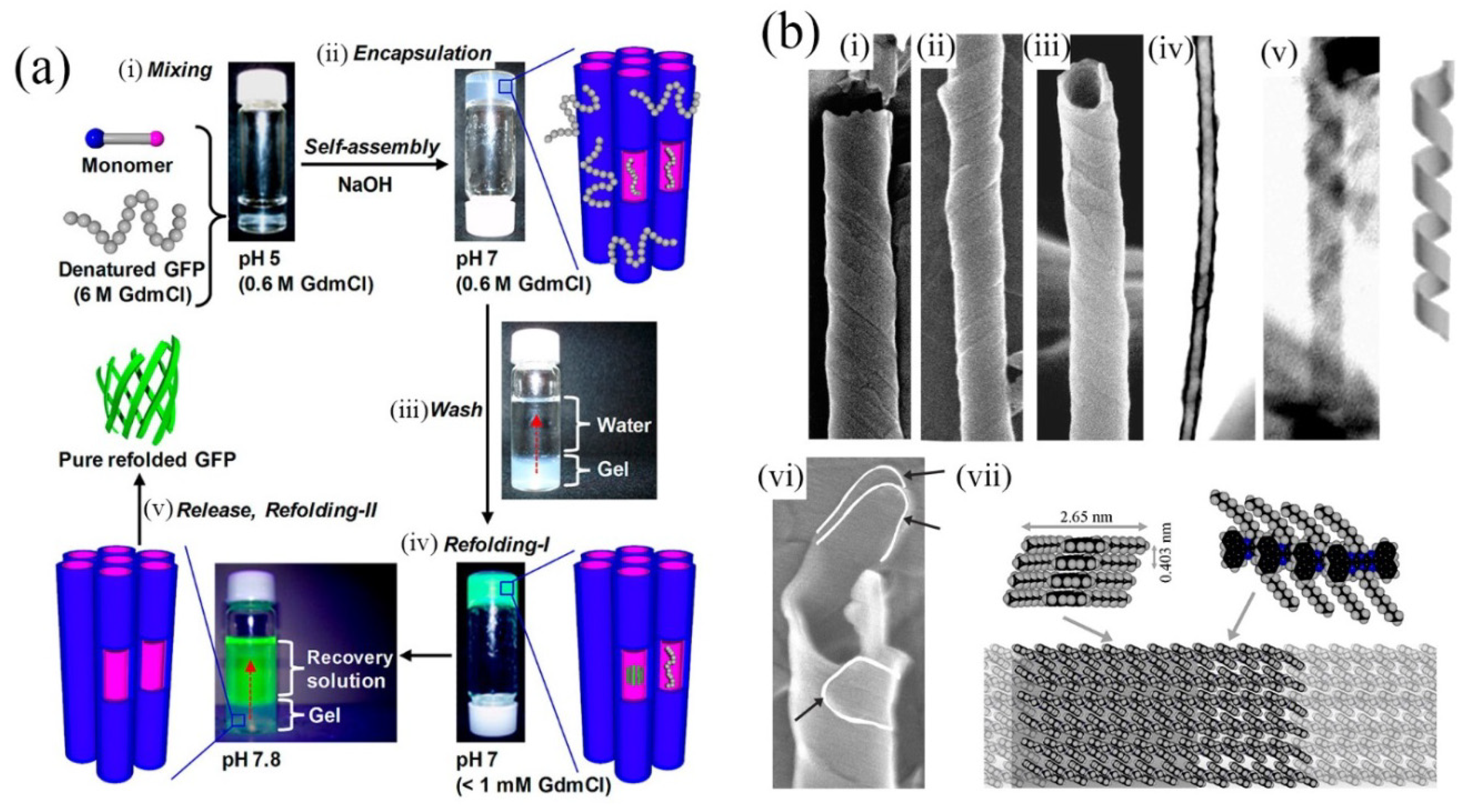 Molecules 19 08589 g004