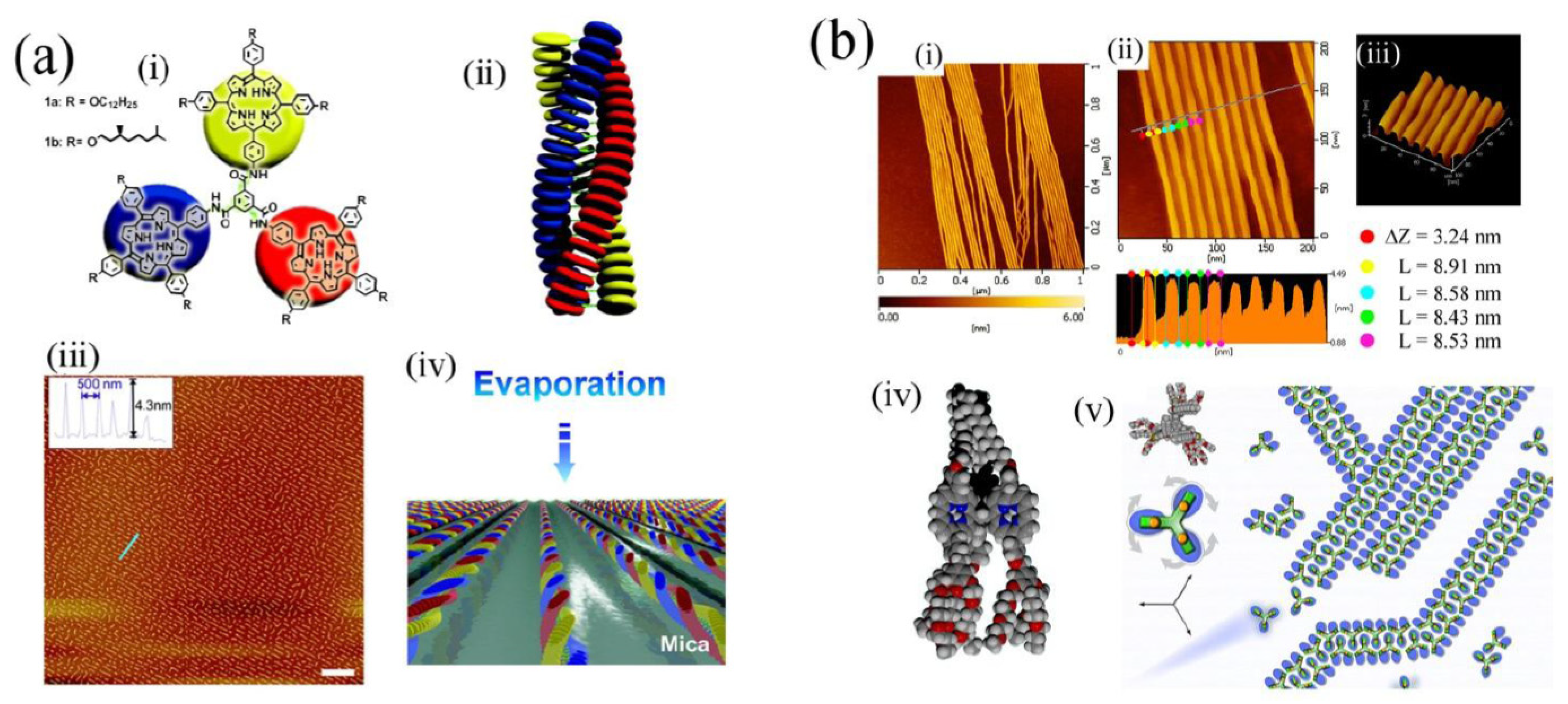 Molecules 19 08589 g006