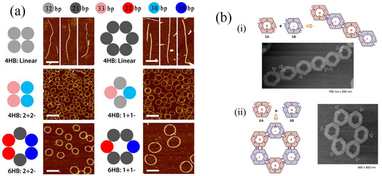 Molecules 19 08589 g007 550