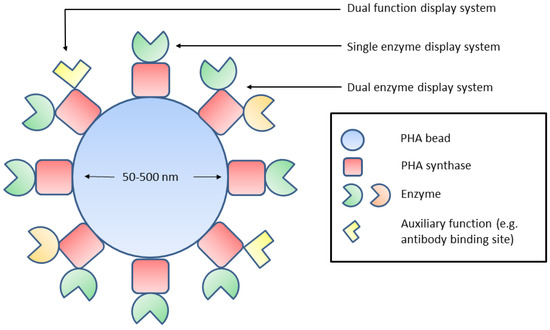 Molecules 19 08629 g002 550