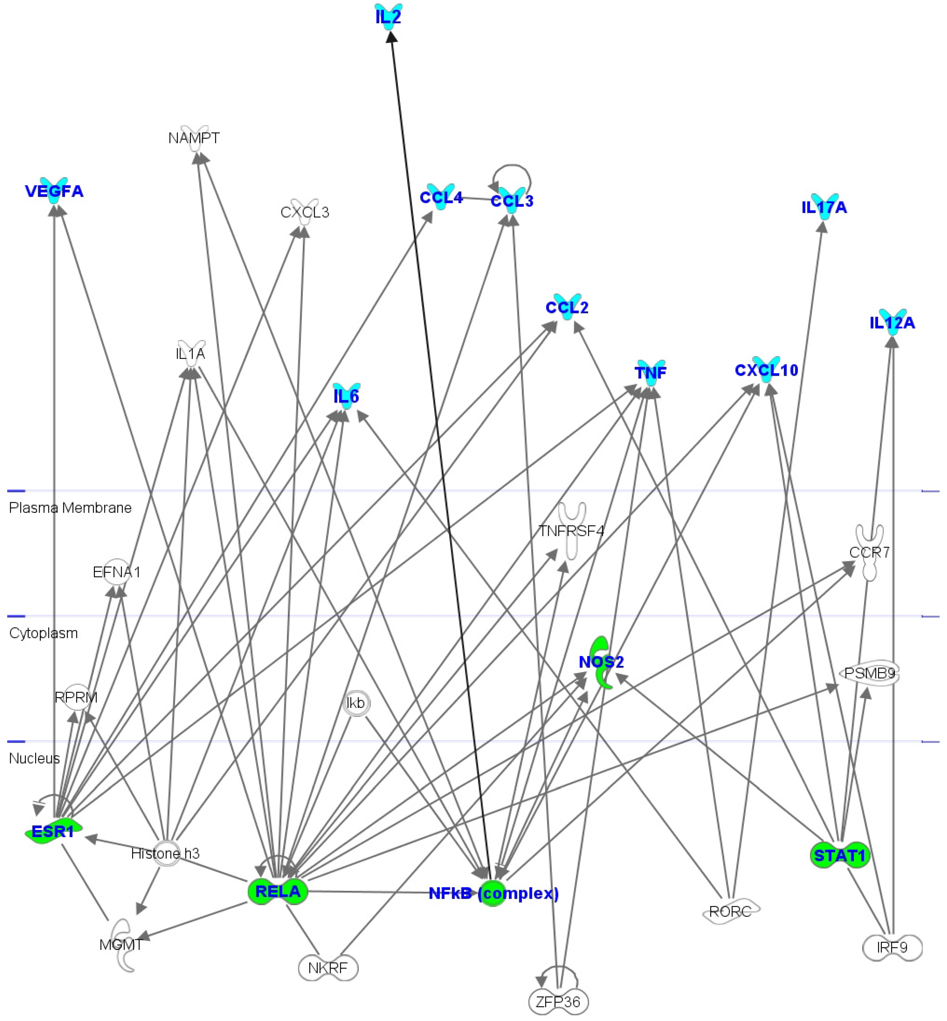 Molecules 19 08644 g005