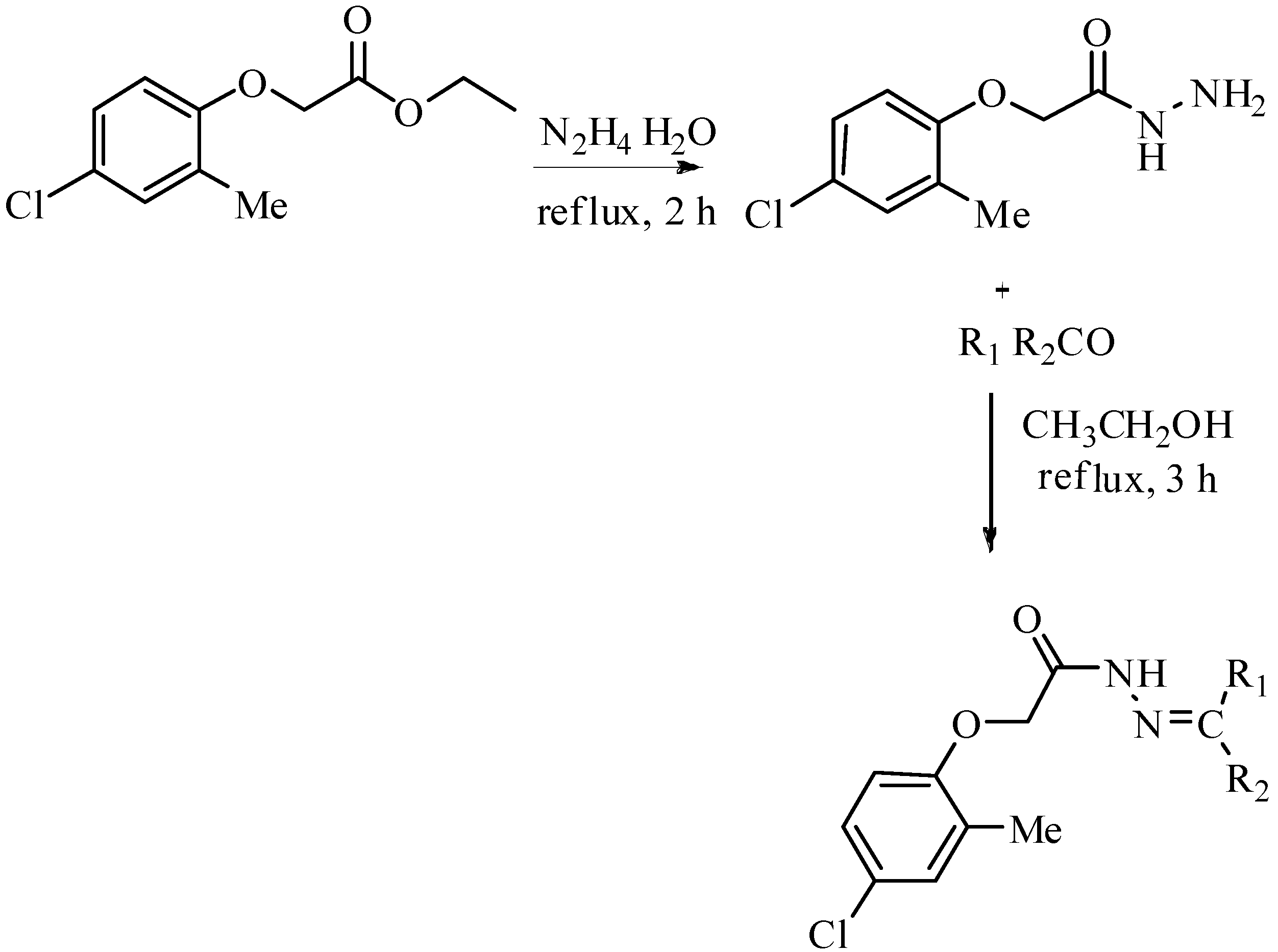 Molecules 19 08788 g002