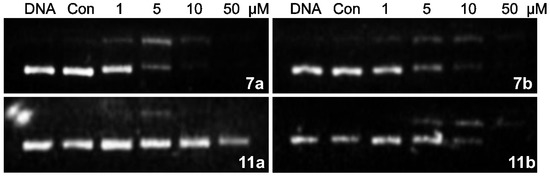 Molecules 19 08803 g004 550