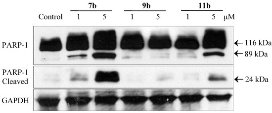 Molecules 19 08803 g006 550