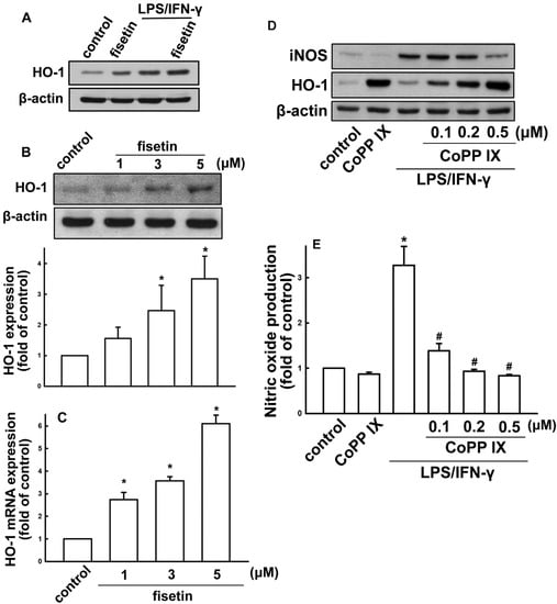 Molecules 19 08820 g005 550