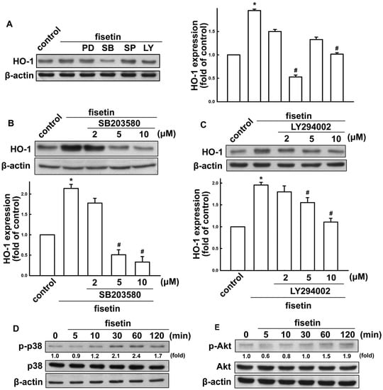 Molecules 19 08820 g006 550
