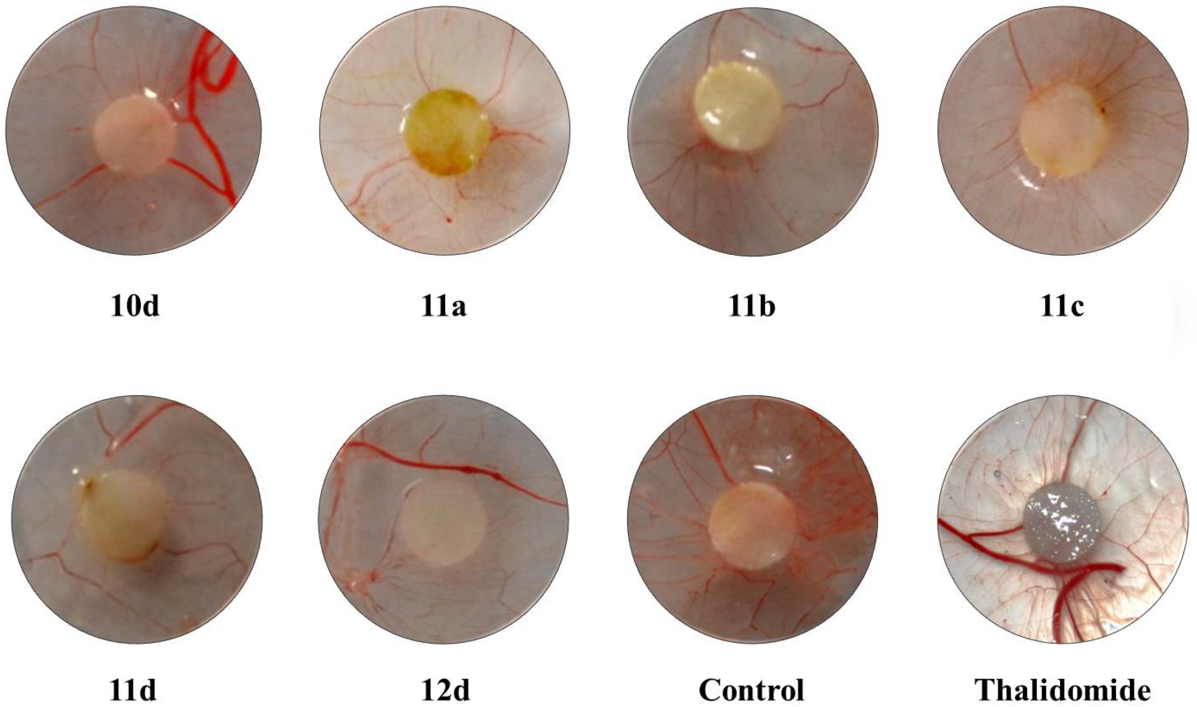 Molecules 19 08916 g003