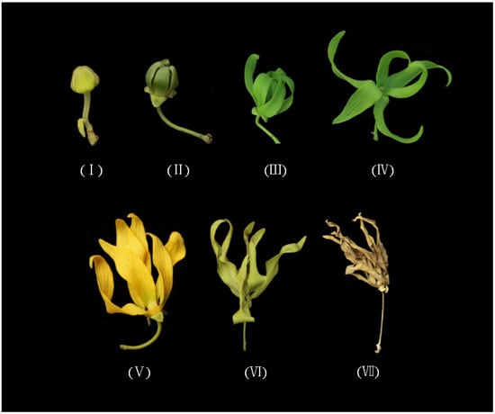 Molecules 19 08965 g001 550
