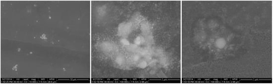 Molecules 19 08981 g007 550