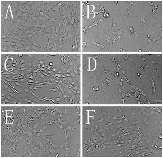 Molecules 19 09101 g003 550