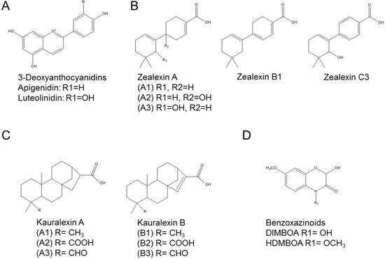 Molecules 19 09114 g001 550