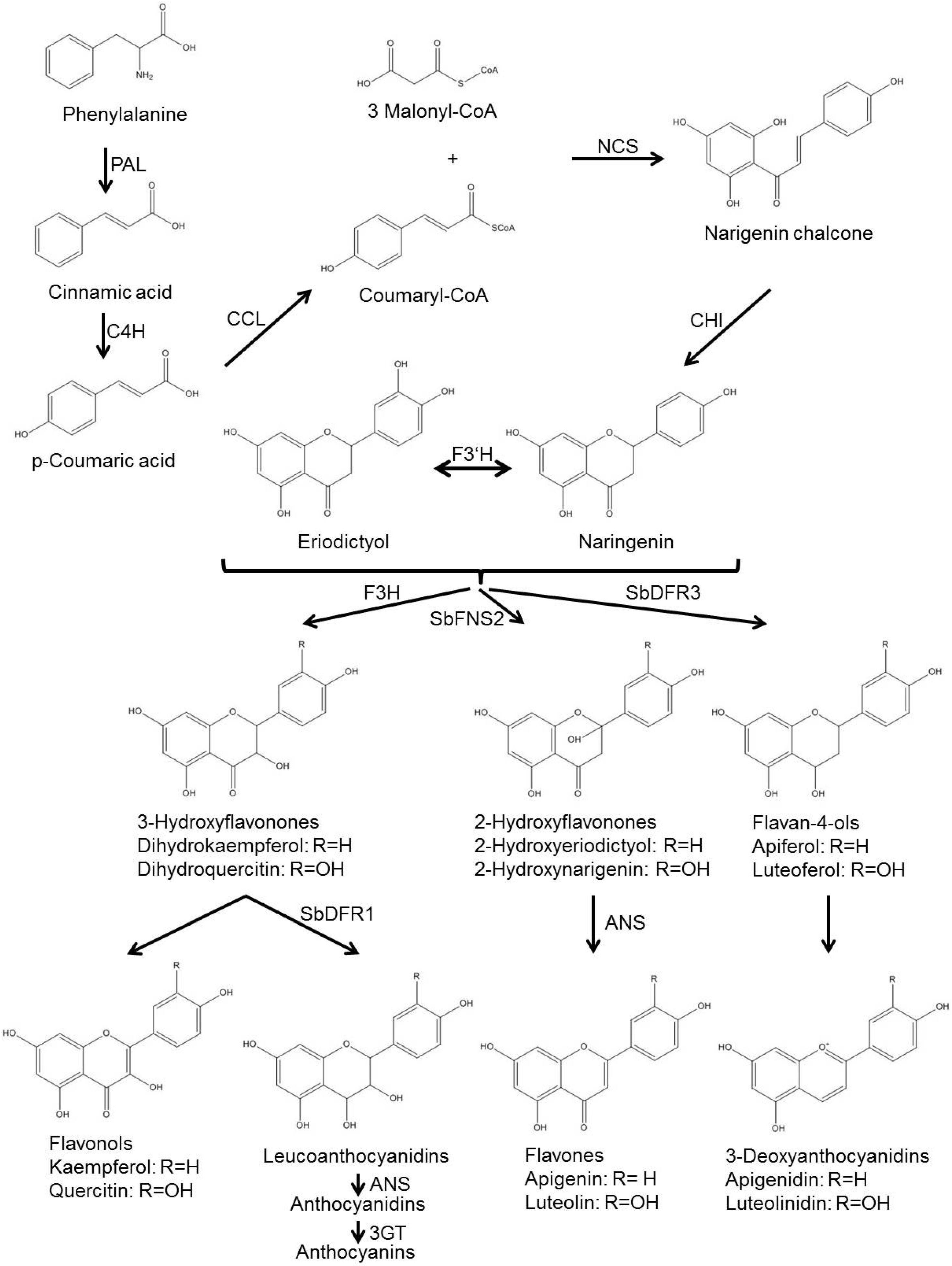 Molecules 19 09114 g002