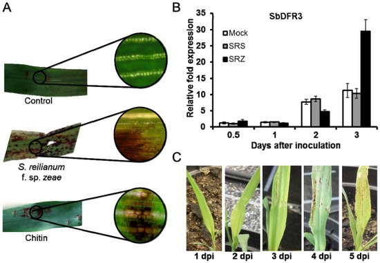 Molecules 19 09114 g003 550