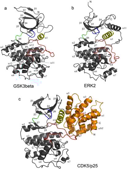 Molecules 19 09134 g001 550