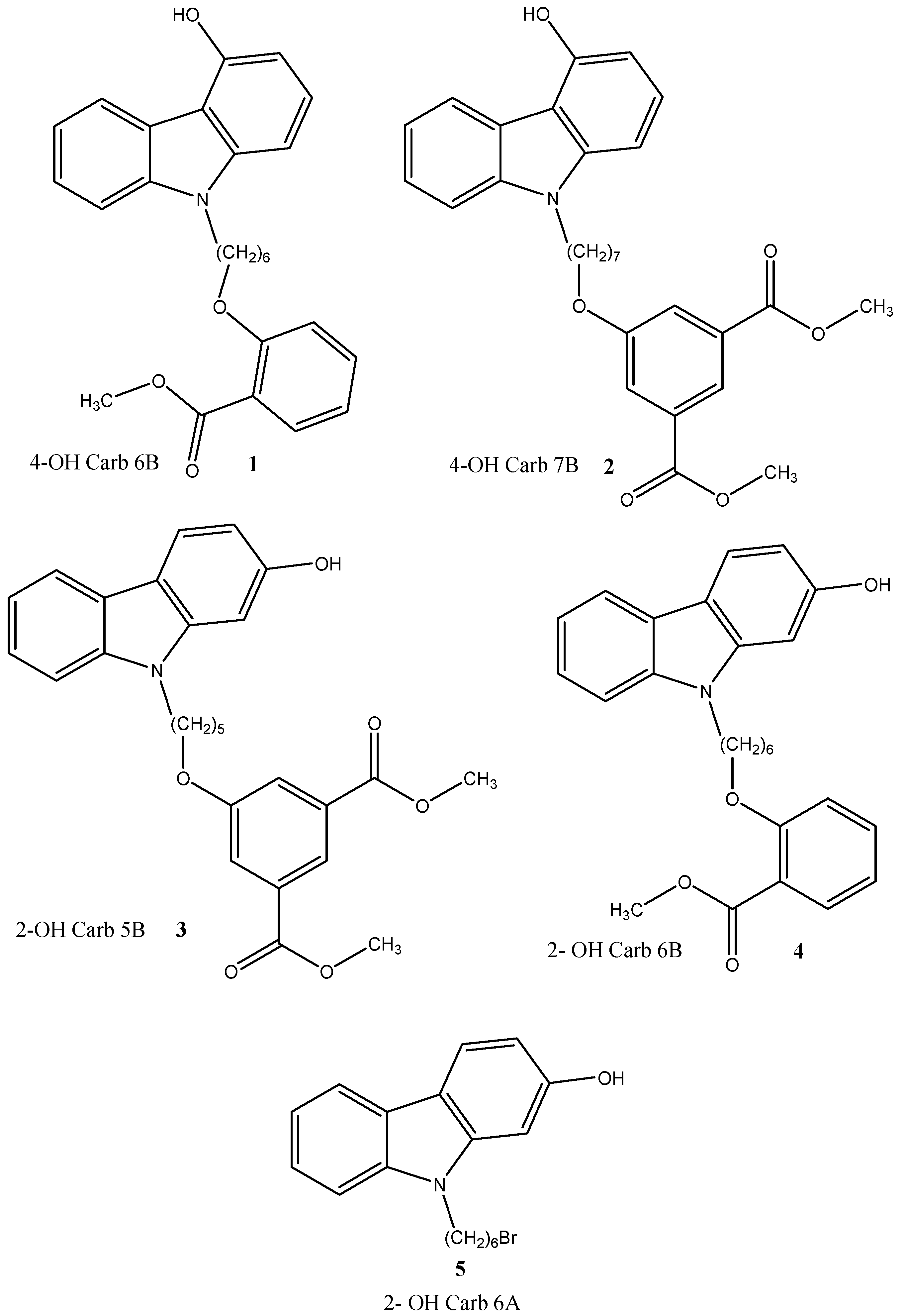 Molecules 19 09307 g001
