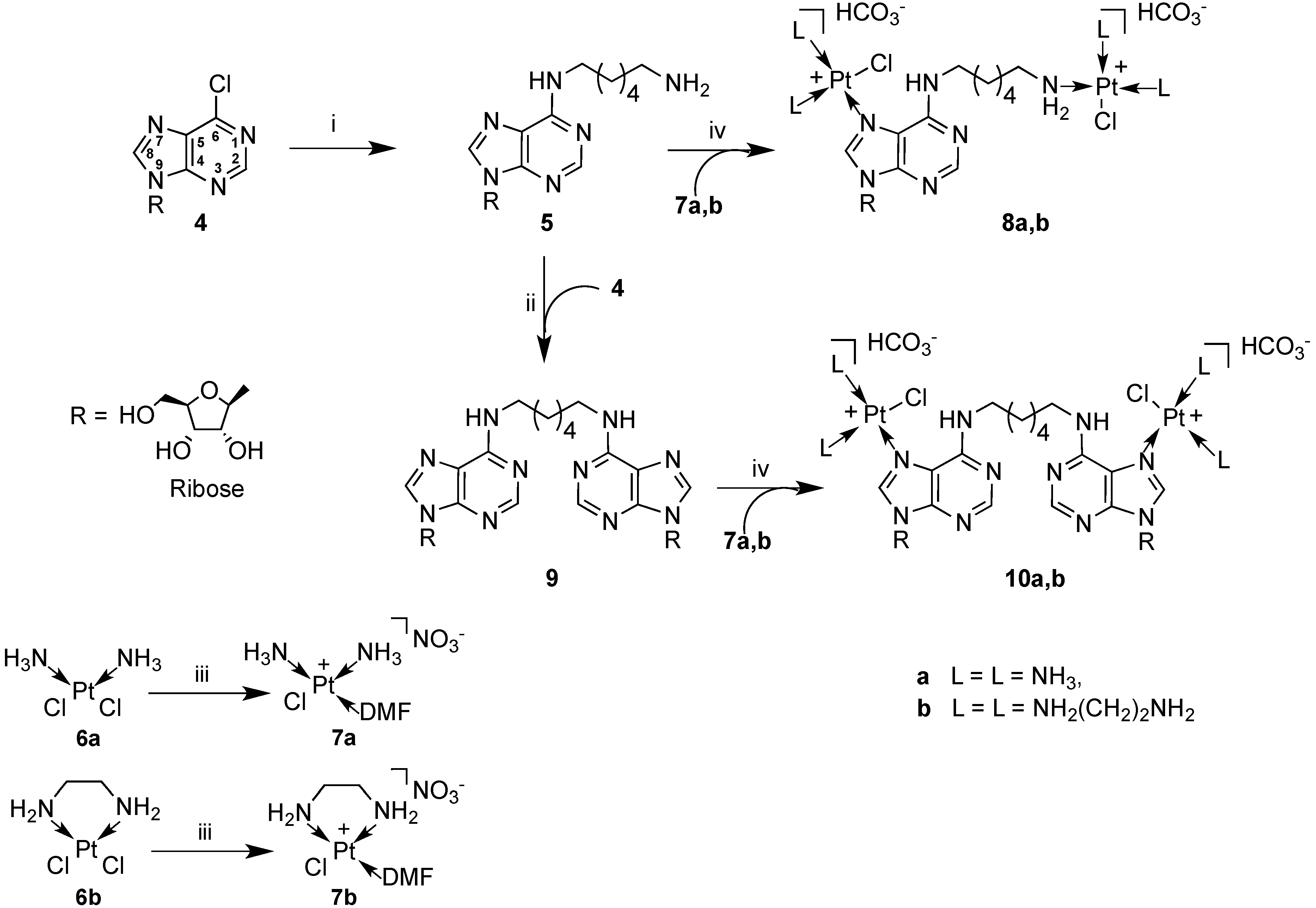 Molecules 19 09339 g005