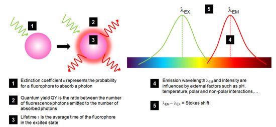 Molecules 19 09380 g002 550