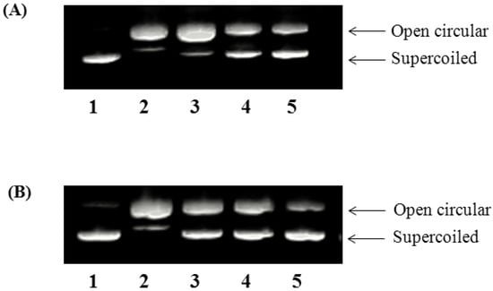 Molecules 19 09403 g002 550