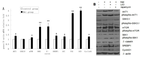 Molecules 19 09435 g004a 550