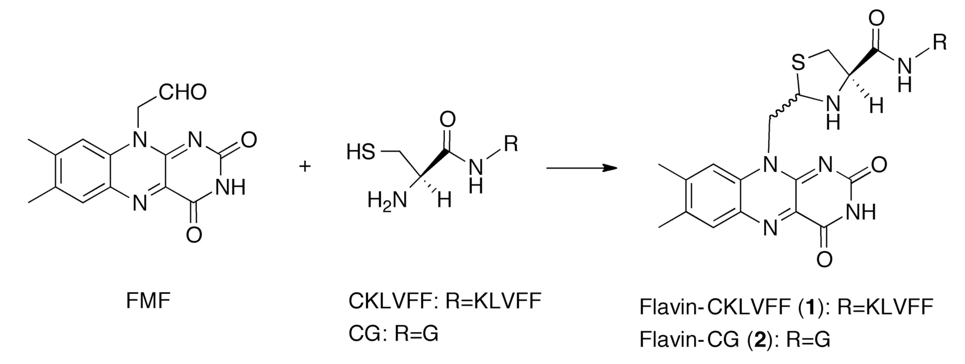 Molecules 19 09552 g009