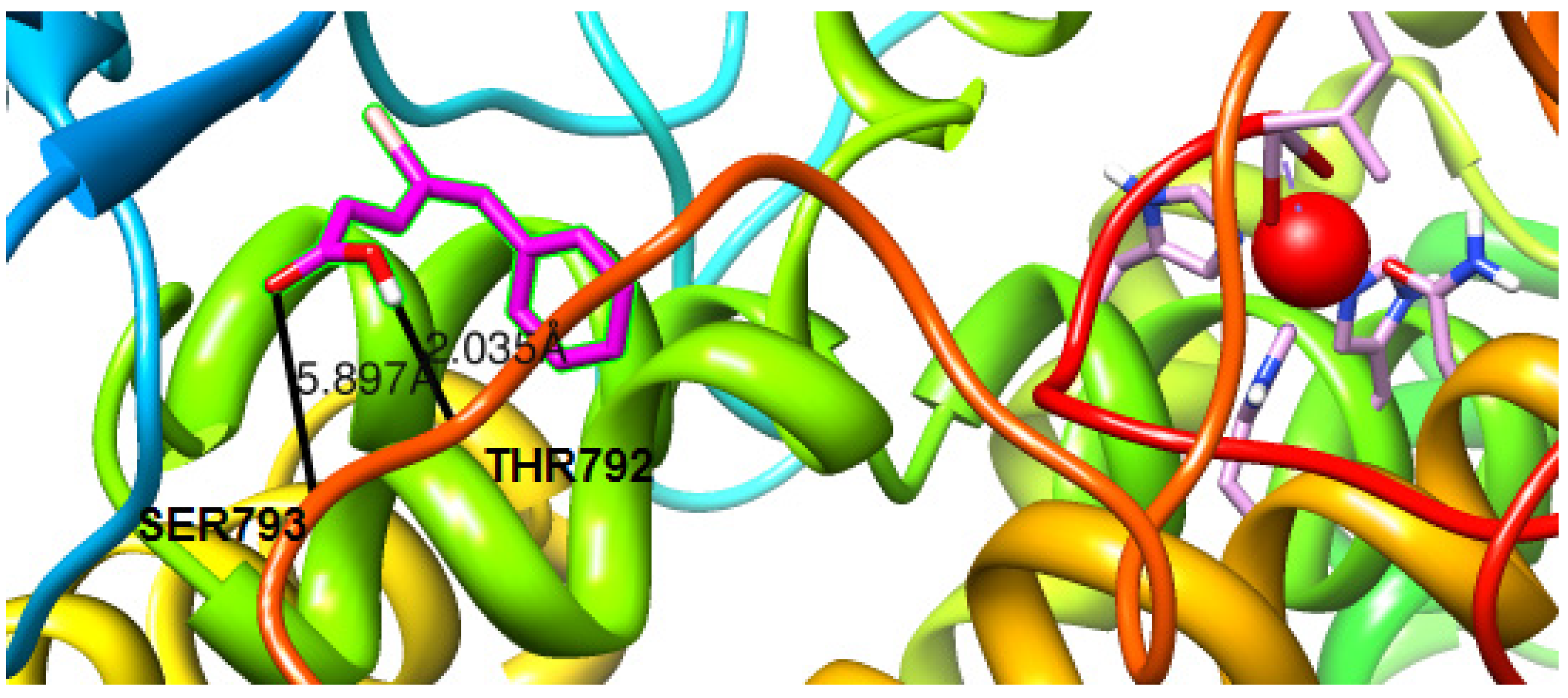 Molecules 19 09655 g001
