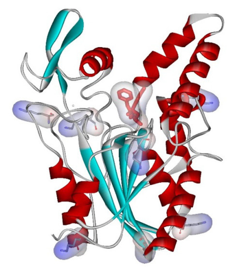 Molecules 19 09818 g001 550