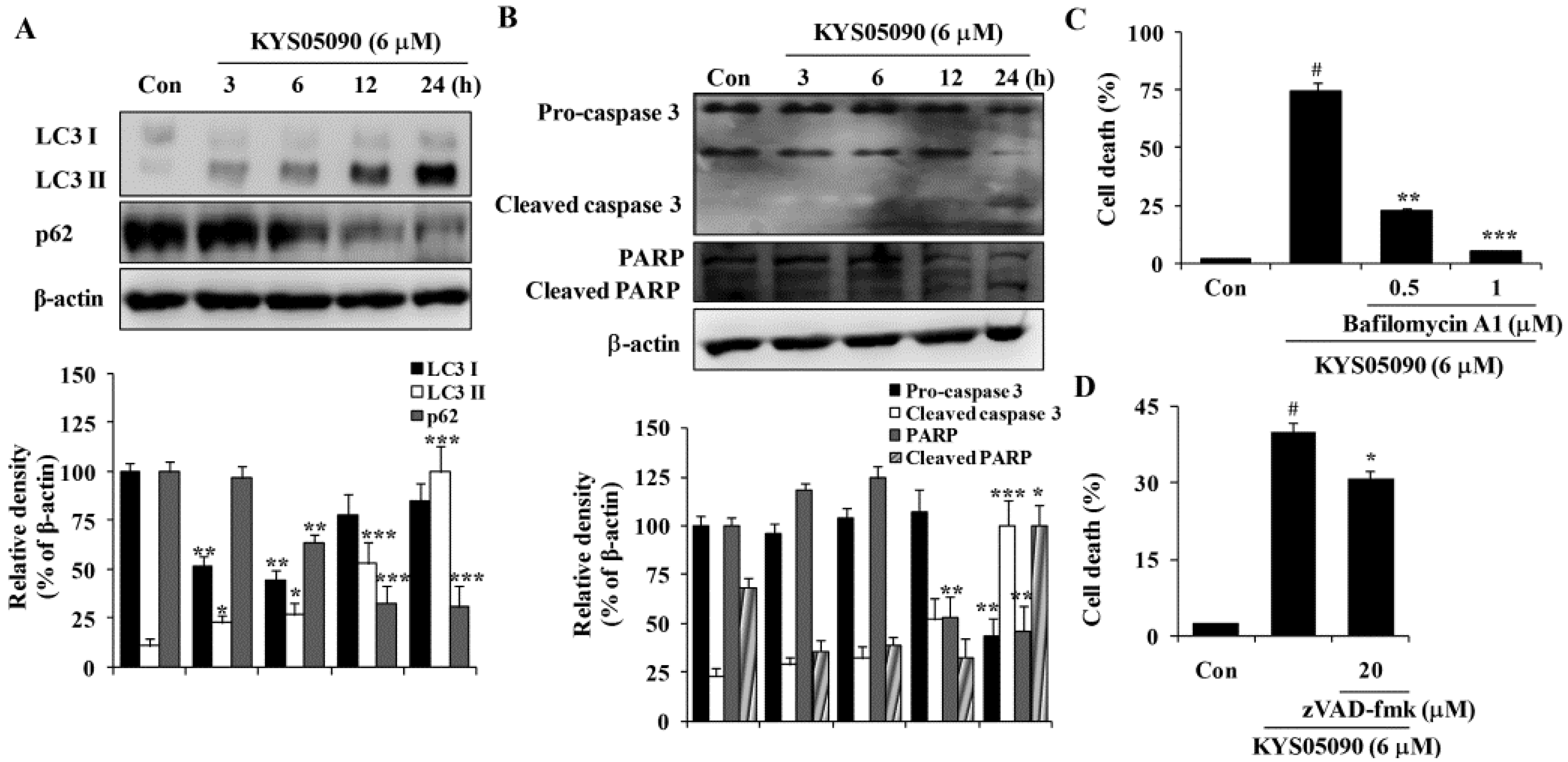 Molecules 19 09864 g003