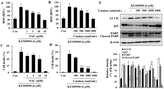 Molecules 19 09864 g005 550