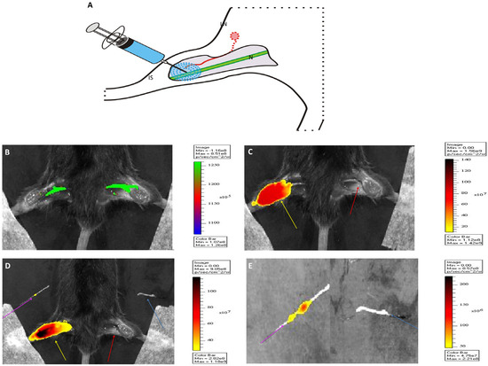 Molecules 19 09876 g003 550