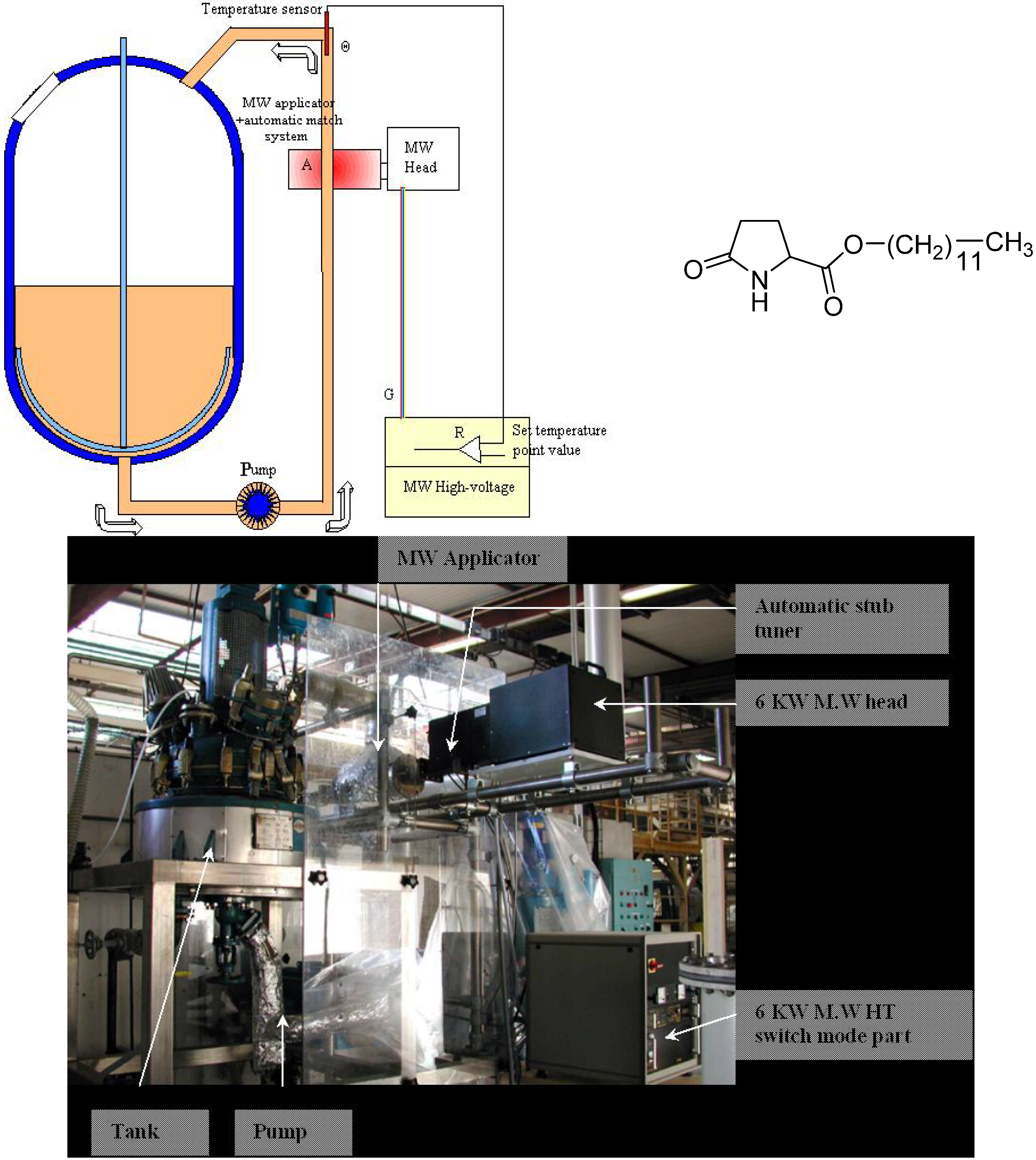 Molecules 19 09986 g001