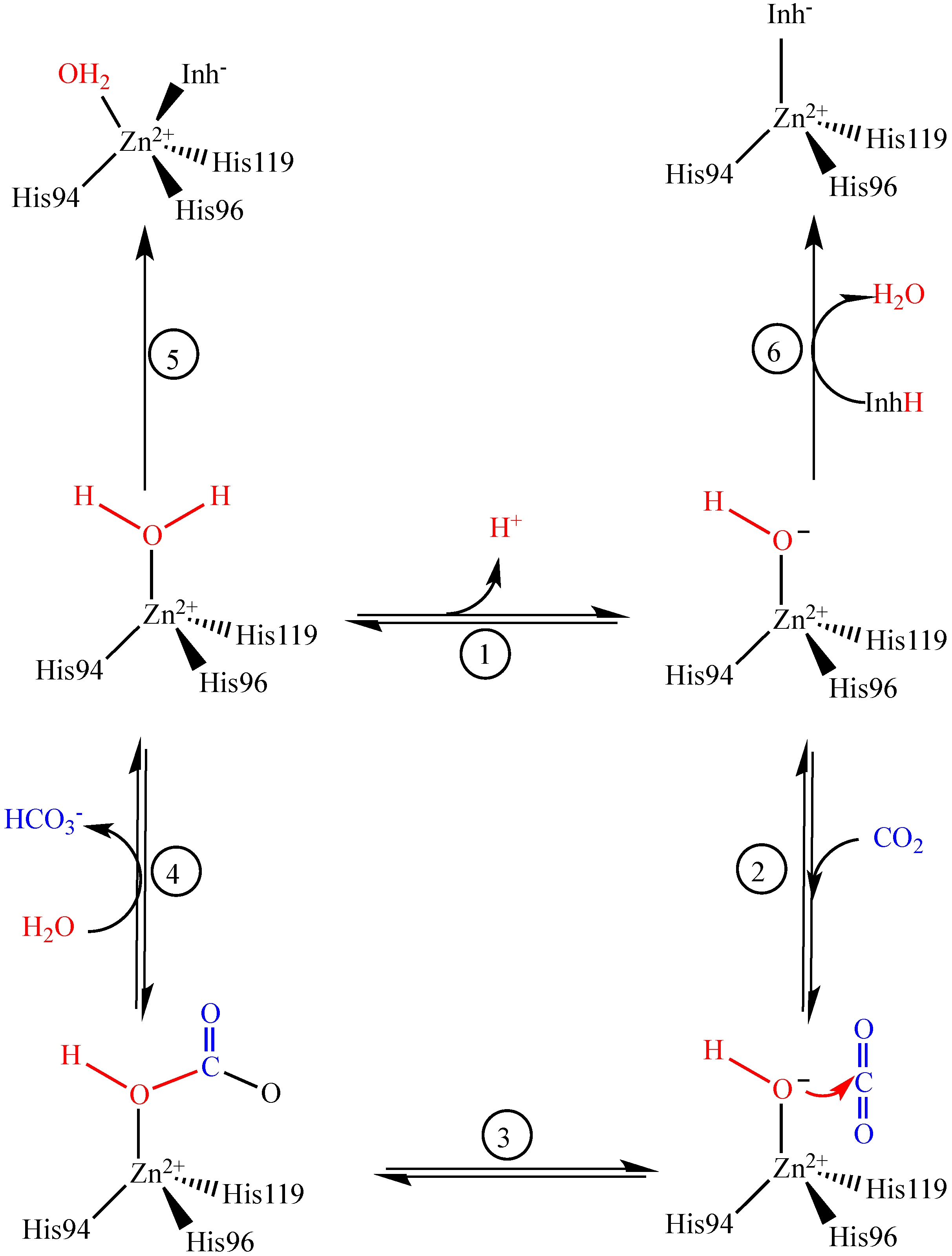 Molecules 19 10103 g004