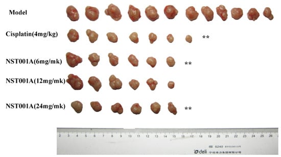 Molecules 19 10177 g004 550