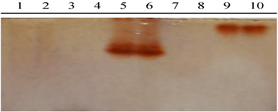 Molecules 19 10208 g004 550